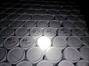 广州危险品运输公司